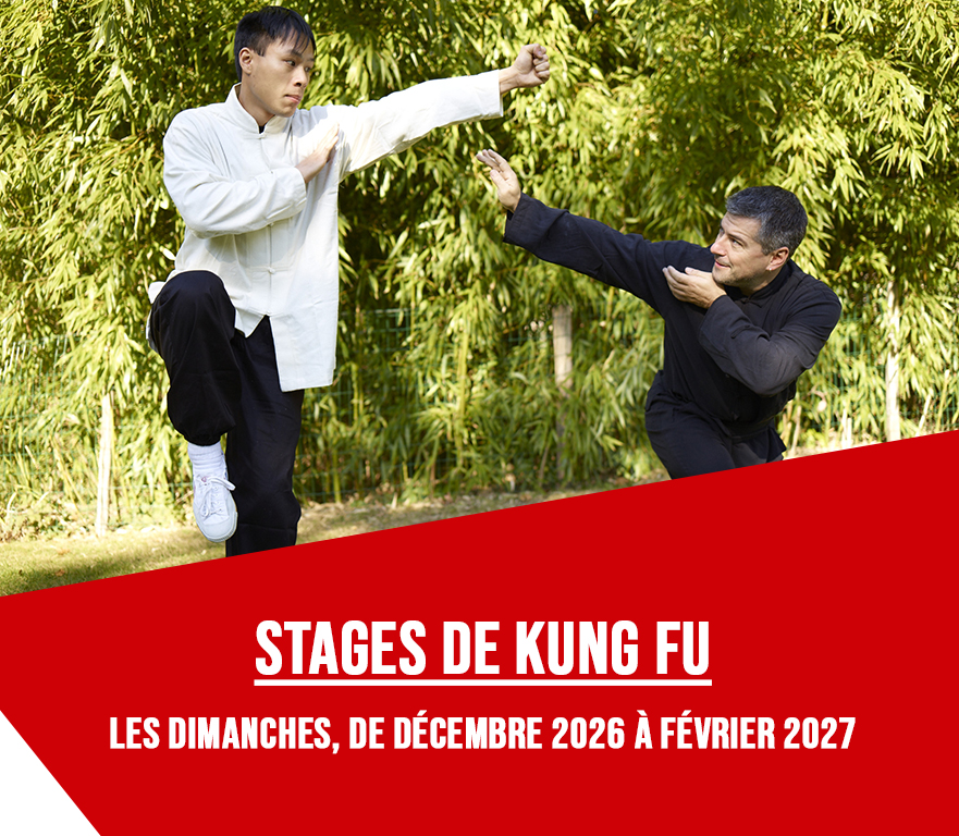 Stages Kung Fu. Découverte des bases pour les jeunes