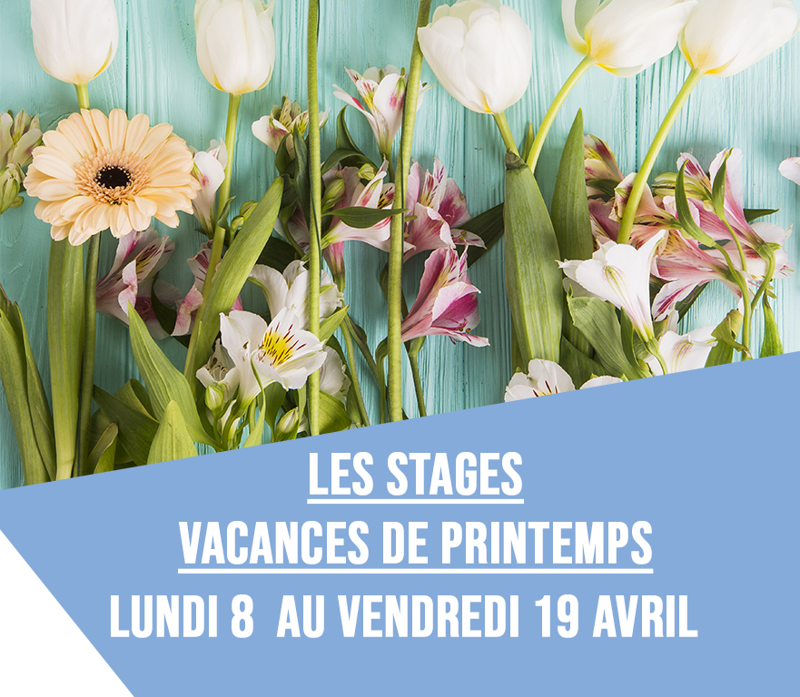 Retrouvez l'ensemble des stages du Centre Paris Anim' Mercoeur, du 8 au 19 avril.